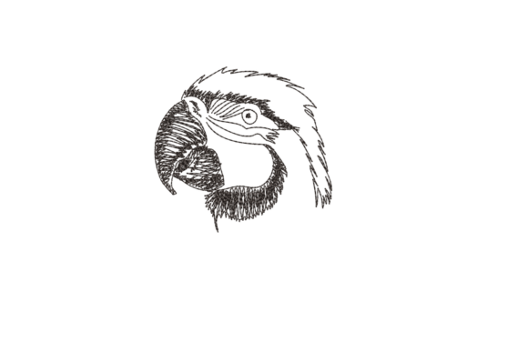 Cute Bird Face Embroidery Design Review